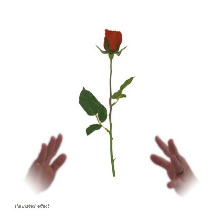 Simplex Floating Rose - David R. Evangelista