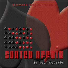 Sorted Affair (2013) by Sean Bogunia