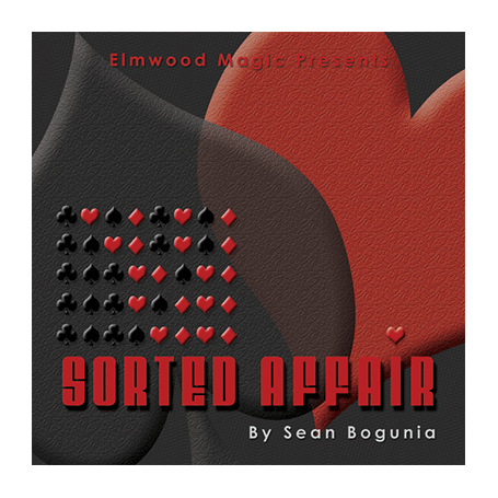 Sorted Affair (2013) by Sean Bogunia