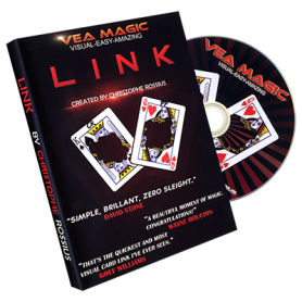 Link - The Linking Card Project (DVD & Gimmicks) by Christoph Rossius - Trick