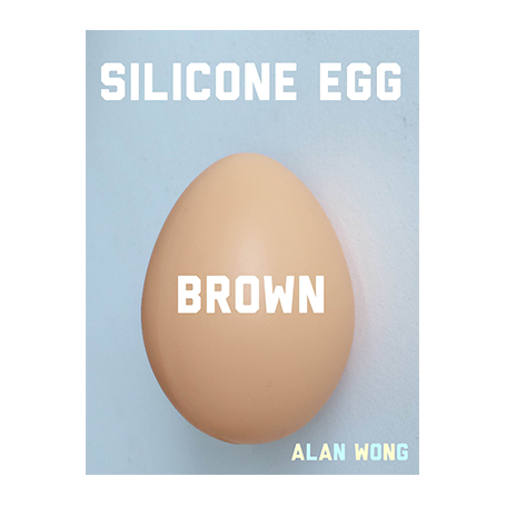Silicone Egg (Brown) by Alan Wong - Trick