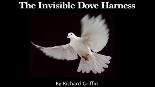 Servente invisibile per colomba by Richard Griffin -