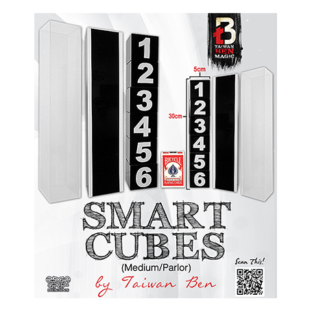 Smart Cubes (Medium / Parlor) by Taiwan Ben - Trick