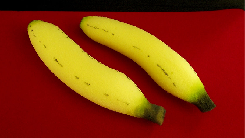 Sponge Bananas (medium/2 pieces) by Alexander May - Banane di spugna