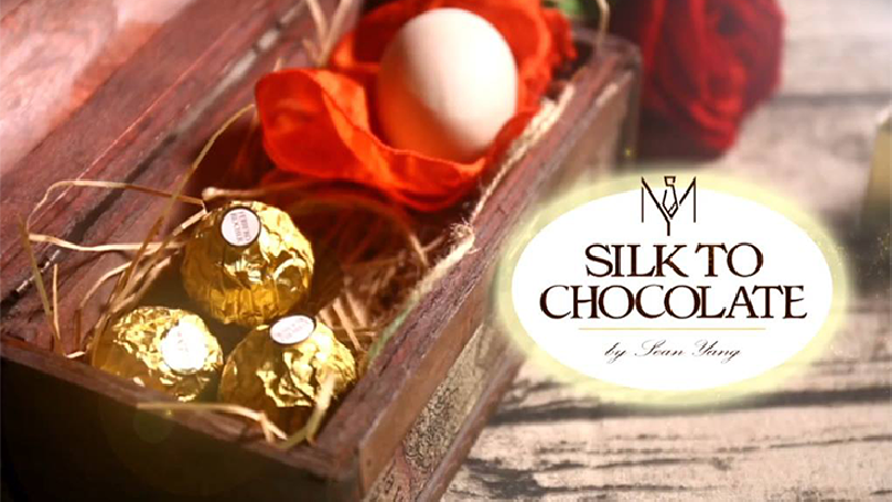 Silk to Chocolate (Ferrero Rocher) by Sean Yang