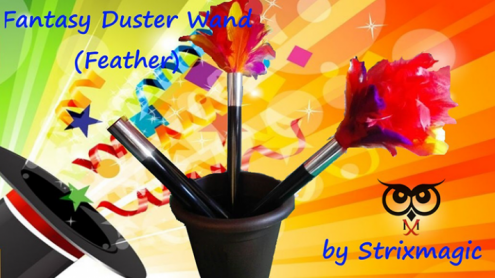 Fantasy Duster Wand (Feather) by Strixmagic - Trick Spolverino di Piume - Piumino