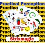 Practical Perception (close up) by Strixmagic Shop