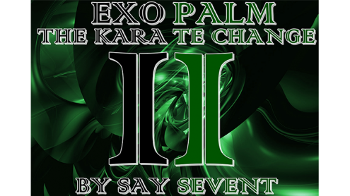 EXOPALM THE KARATE CHANGE by SaysevenT video DOWNLOAD