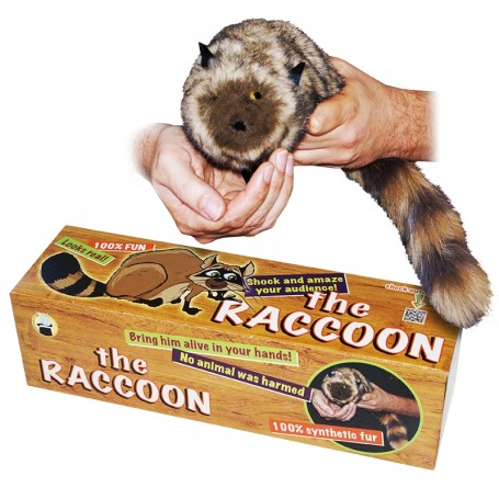Procione Junior Robbie Raccoon- Animali a molla
