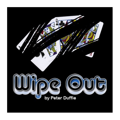 Wipe Out by Peter Duffy