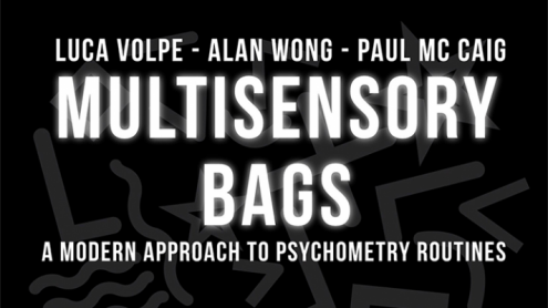 Multisensory Bags by Luca Volpe , Alan Wong and Paul McCaig- psicometria