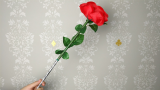 Wilting Rose by Strixmagic - Rosa che si rompe