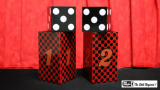 Passe Passe Die by Mr. Magic - Trick