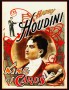 Houdini King of Cards Poster (51cm x 66cm)