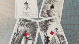 Cotta's Almanac 1 Transformation Playing Cards