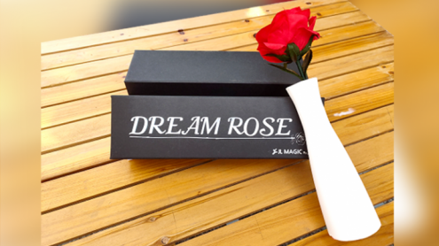 Dream Rose by JL Magic - La Rosa
