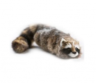 Procione Reality - Collo Super Flex Raccoon  ANIMALI A MOLLA