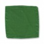 Foulard 30 x 30 Single (Green) Magic by Gosh - Trick