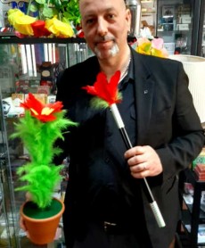 Fiore Incantato by Strixmagic - DELUXE flito flower