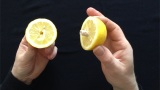 CITRUS: The Next Generation (C2 - Small) by Nourdine - Banconota nel limone