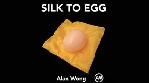 Silk To Egg (Brown/with Yellow silk) by Alan Wong - Foulard in uovo