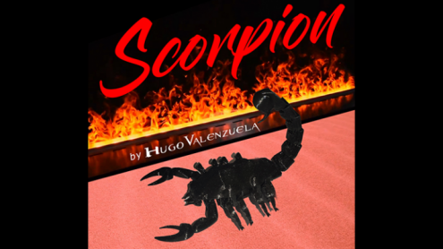 SCORPION by Hugo Valenzuela - Scorpione e anello