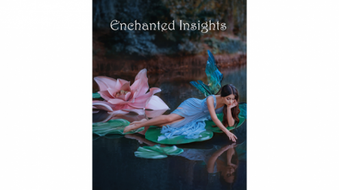 ENCHANTED INSIGHTS BLUE (Japanese Instruction) by Magic Entertainment Solutions - Trick