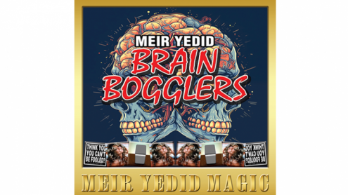 Brain Bogglers by Meir Yedid