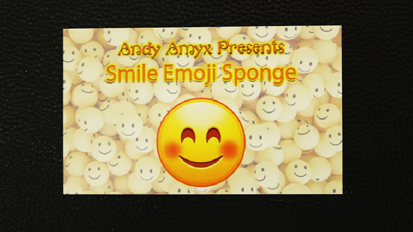 Sponge Emoji SMILE FACE (4PK.) by Andy Amyx- Trick