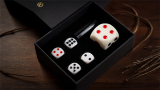 X Dice by TCC Magic - climax dadi Dai Vernon