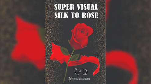 Super Visual Silk To Rose by Juan Pablo FOULARD IN ROSA