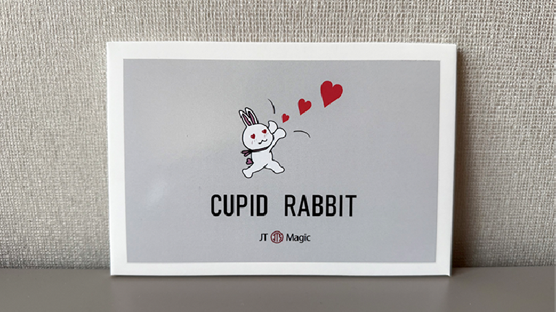 Cupid Rabbit by JT coniglietto innamorato