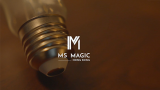 SHINE 3.0 by Magic 007 & MS Magic - lampadina