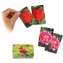 Botania Deck Mazzo Arcobaleno