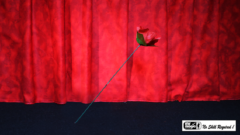 Torcia in rosa by Strixmagic