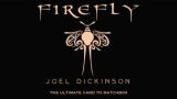 Firefly by Joel Dickinson