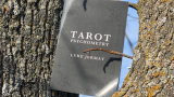 Tarot Psychometry (Book and Online Instructions) by Luke Jermay - LIBRO TAROCCHI