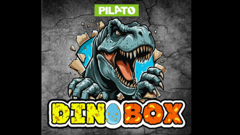 Dino Box by PILATO apparizione scatole