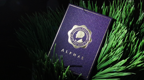 DMC Alpha V3 (Purple) Portcullis with Online Instructions