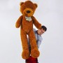 Appearing Teddy Bear - Large size