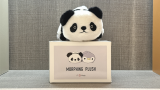 Morphing Plush (Panda in Pinguino Blu) by Jackie Zhao and JT Magic