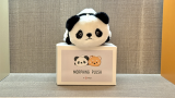 Morphing Plush (Panda in Procione) by Jackie Zhao and JT Magic