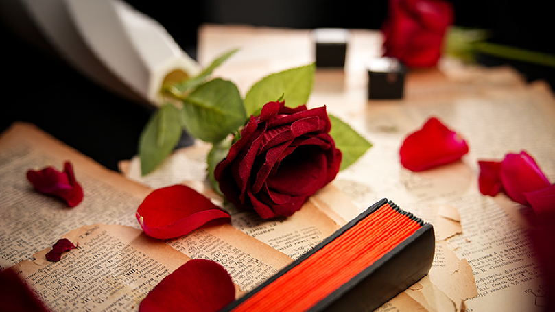 The Butterfly by K.Pen & TCC Magic