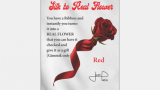 Silk to Real Flower (Red) by Juan Pablo